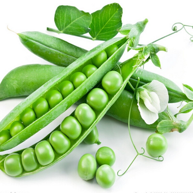 Ervilha Maravilha Kelvedon (Anã) (kg) Ervilha Maravilha Kelvedon (Anã) (kg)