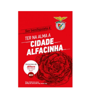 Sementes Edição Especial Benfica – Alface BIO
