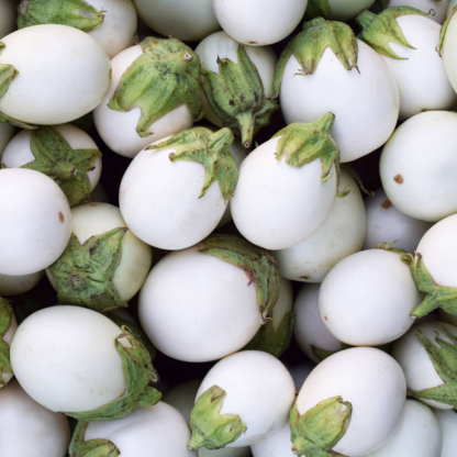 Sementes Beringela ‘White Egg’ Bio
