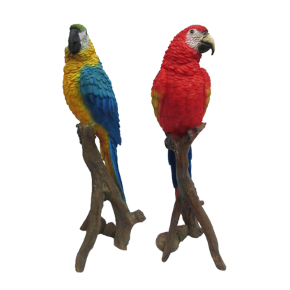 Papagaio Decorativo