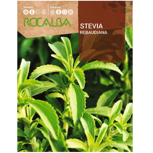 Stevia Rebaudiana Stevia Rebaudiana