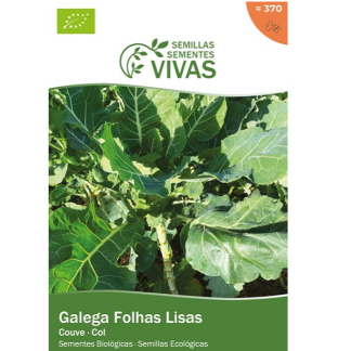 Sementes Couve Galega Bio Sementes Couve Galega Bio