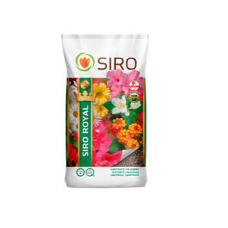 Siro Royal 70 LT Siro Royal 70 LT