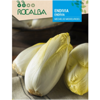 Endívias